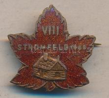 1958. VIII. Stromfeld Túra zománcozott levél formájú Br jelvény T:2