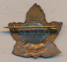 1958. VIII. Stromfeld Túra zománcozott levél formájú Br jelvény T:2