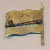 ~1915. Császári és Királyi 13. Honvéd Gyalogezred zománcozott bronz zászlójelvény (Arkanzas Budapest...