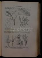 A műveltség könyvtára - Az élők világa: Növény és állatország. sok képpel, Bp., 1905 Athenaeum, Dísz...