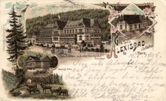 1898 Alexisbad im Selkethal litho (EK)