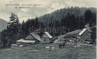 Hochlantsch, Alpenwirtschaft Zum guten Hirten / alpine farm, guest house