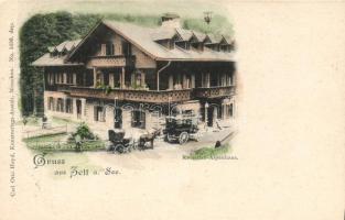 Zell am See alpine house