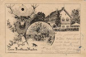 Forsthaus Kasten 1898 Feder Litho (EK)