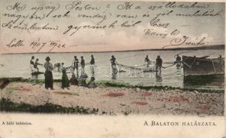 Balatoni halászat - a háló behúzása