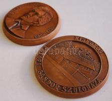 Petőfi Sándor 2 kerámia plakett d: 12 cm