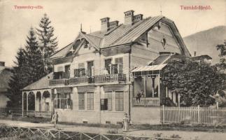 Tusnádfürdő Villa Temesváry (EB)