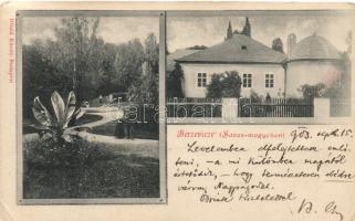 Berzevice, Divald (EK)