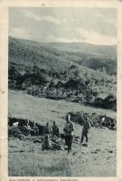 Military WWI in the mountains of Montenegro (cut)
