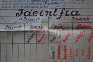 1942 Alföldi Szarvasmarhatenyésztő Egyesületek Szövetsége oklevél  50x40 cm