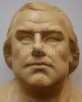 Luther Márton gipsz büsztje (kis lepattogzásokkal, főleg hátul) /
Plaster bust of Martin Luther (wit...