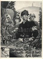 Sudetenland 1938, NS propaganda