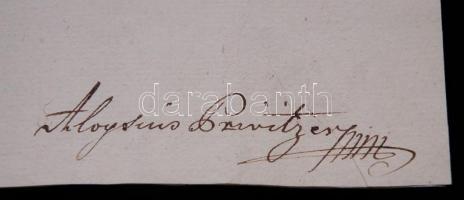 1804 Helytartótanácsi leirat Mednyánszky János báró, tanácsos Bécs-hű főúr, Privitzer Lajos saját ke...