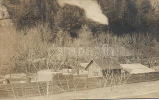 Brassó (?) Lederer és Gellért gőzfűrésztelep / sawmill photo (fl)