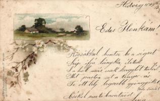 1899 Countryside litho (fl)