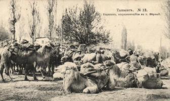 Taskent camel caravan