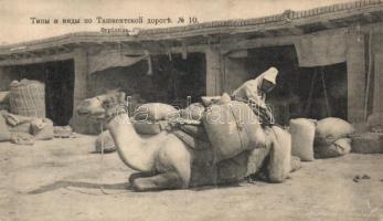 Taskent market, camel, folklore (EK)