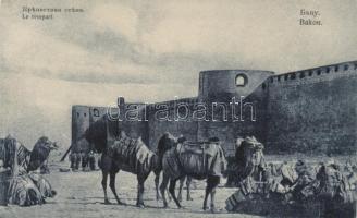 Baku fortress
