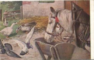 10 db régi motívumlap, különböző állatokkal