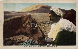 10 db régi motívumlap, különböző állatokkal