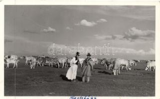 10 db régi motívumlap, különböző állatokkal