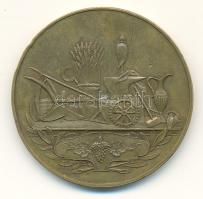 1902. "Versecz-Városi és Versecz-Járási Kiállítás" Br emlékérem (58mm) T:2 ph