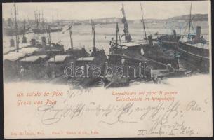 Torpedo ships in the port of Pola