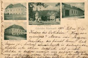 1901 Pelsőcz Hűlye Intézet és vendéglő (sérült) T4