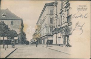 Temesvár Hunyadi street, Turul shoeshop (small tear)