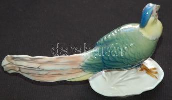 Festett sorszámozott jelzett ENS Volkstedt-Rudolstadt német porcelán madár figura /
Numbered german ...