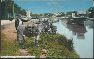 Nagybecskerek aqueduct