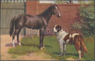 Horse and dog