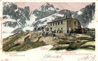 Kis-Tarpatak Téry resthouse (fa)