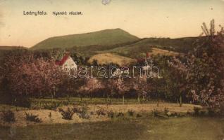 Leányfalu nyaralók