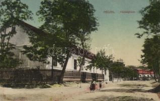 Pécel községháza (EB)