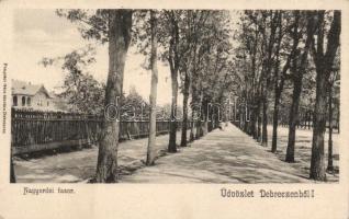 Debrecen Nagyerdei fasor