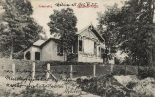 Balatonaliga Szász-villa
