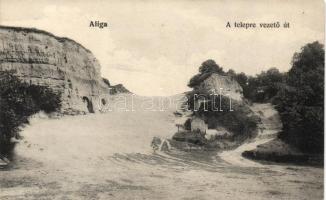 Balatonaliga telepre vezető út