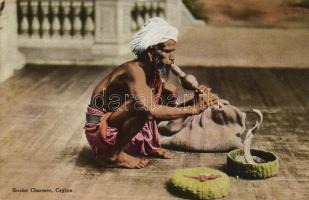 Snake charmer, folklore