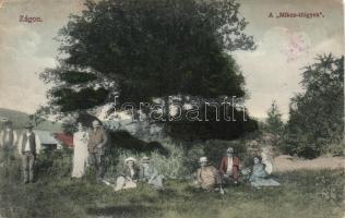 Zágon Mikes-tölgyek