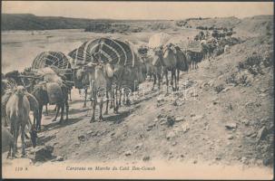 Arabian folklore caravan