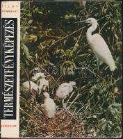 2db természettel kapcsolatos könyv: 1977 Magyarországi kirándulások, 1964 Tildy Zoltán: Természetfén...