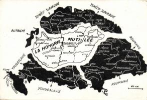 Irredenta, Magyar Nemzeti Szövetség vissza So.Stpl