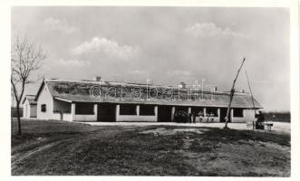 Kunság, folklór, gémeskút