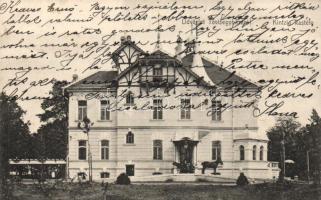 Tövisegyháza Kintzig castle