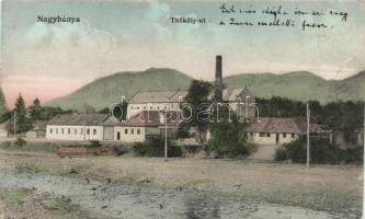 Nagybánya Thököly street, mill