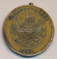 cca 1900 "A Magyar Országos Tűzoltó Szövetség 10 éves Szolgálati Érme" Br szalag nélkül T:...