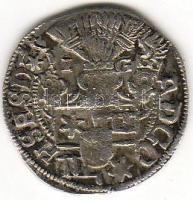 Német államok/ Schaumburg-Pinneberg 1601. 1/24 Thaler (Groschen) ezüst T:2/2-