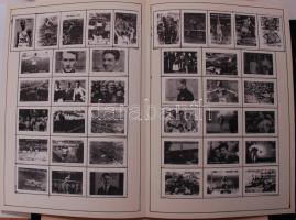 950db magyar gyufacímke kategorizálva és kartonokra rendezve