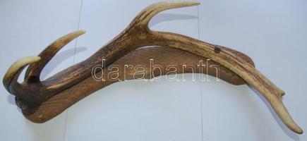 Hatalmas szarvagancsból készült fali fogas 58cm széles